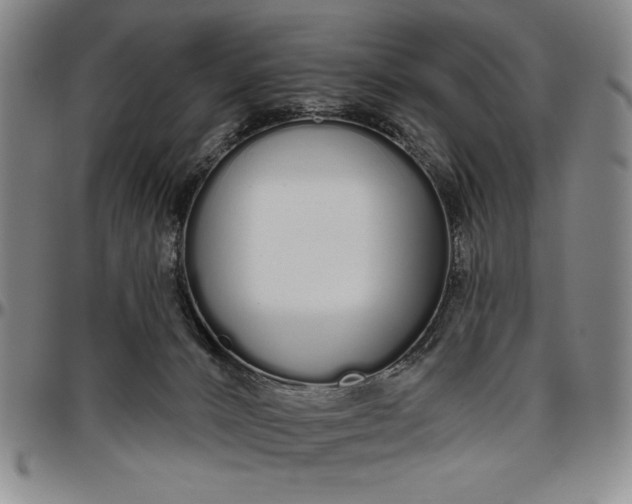 X0000096630032200802191207