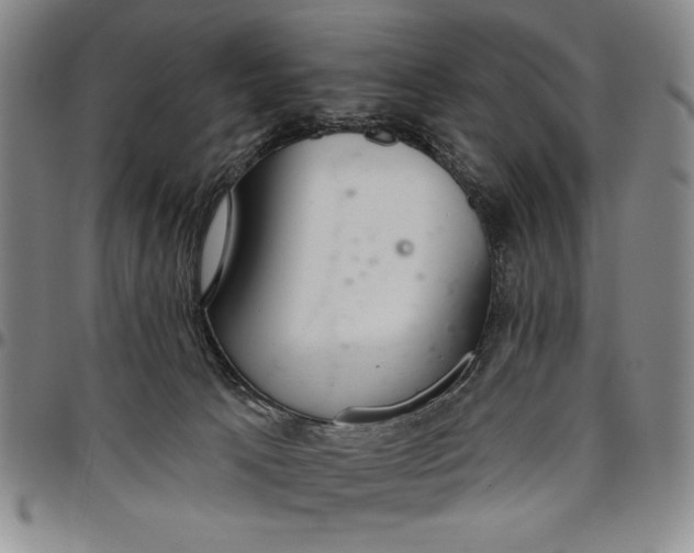 X0000096630033200802191207