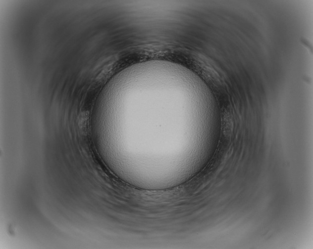 X0000096630034200802191207