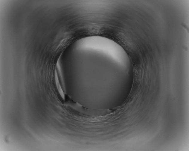 X0000096630035200802191207