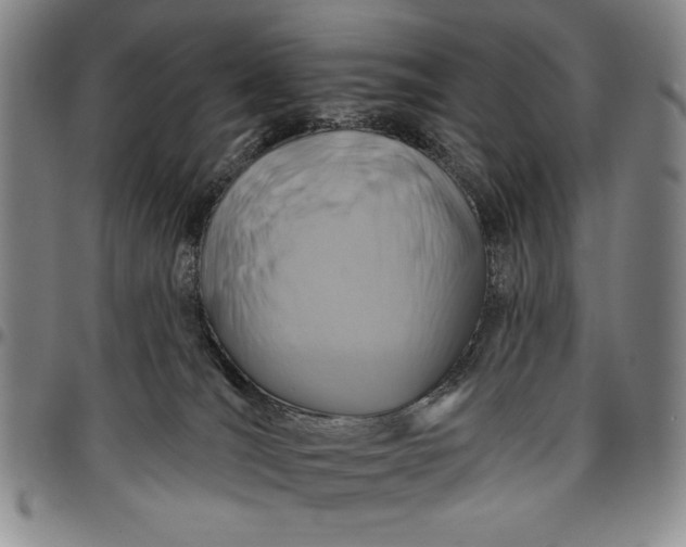 X0000096630036200802191207