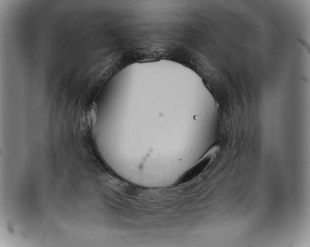 X0000096630037200802191207