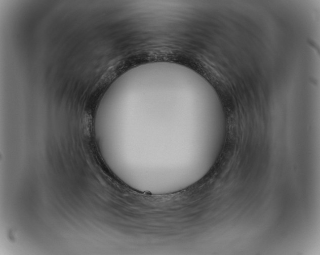 X0000096630038200802191207