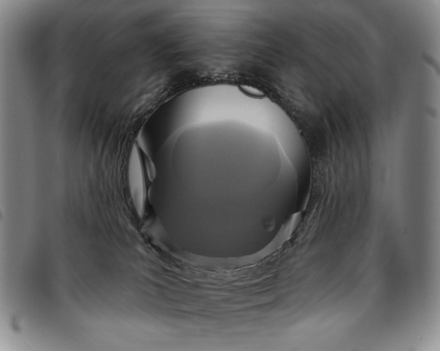 X0000096630039200802191207