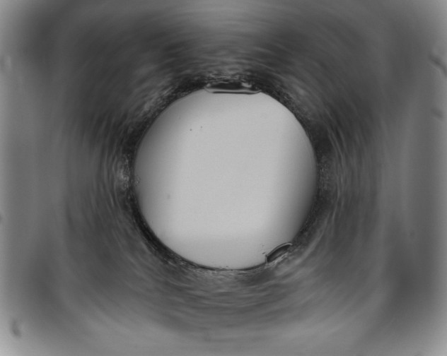X0000096630040200802191207