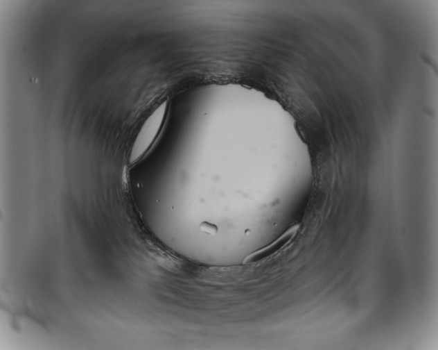 X0000096630041200802191207