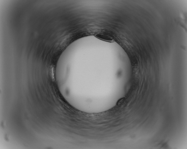 X0000096630042200802191207
