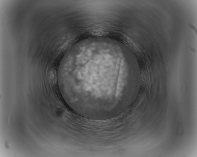 X0000096630043200802191207