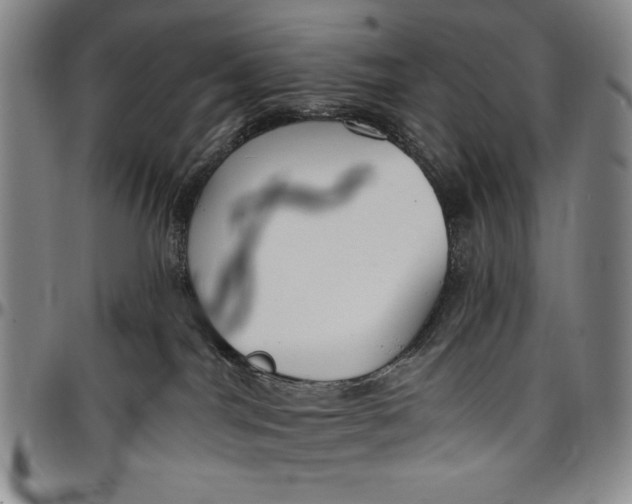 X0000096630044200802191207