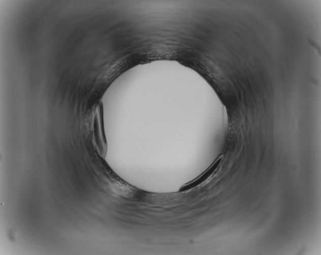 X0000096630045200802191207