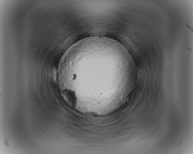 X0000096630046200802191207