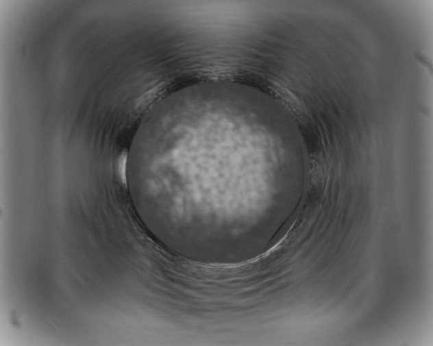 X0000096630047200802191207