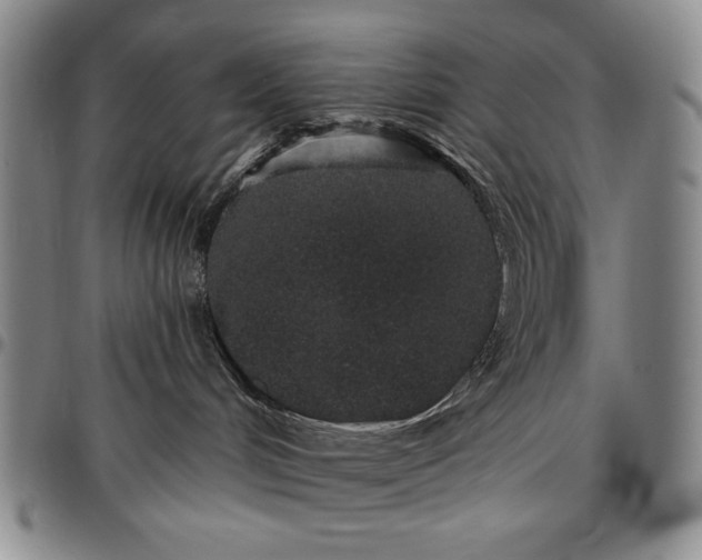 X0000096630048200802191207