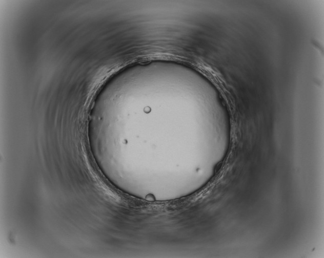 X0000096630049200802191206