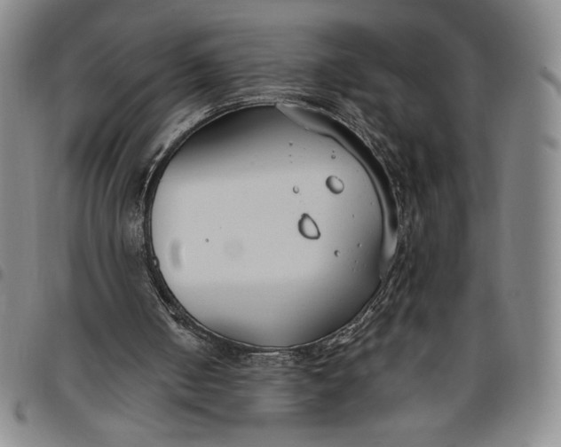 X0000096630050200802191206