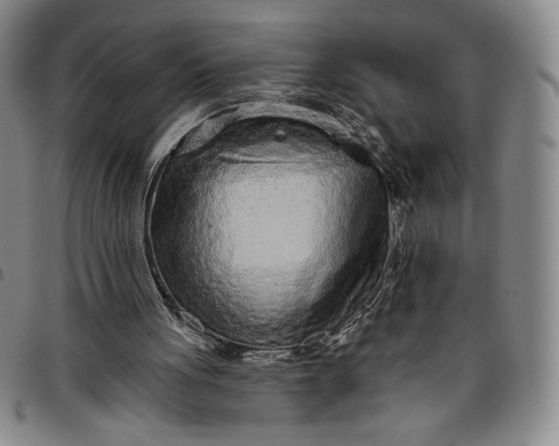X0000096630051200802191206