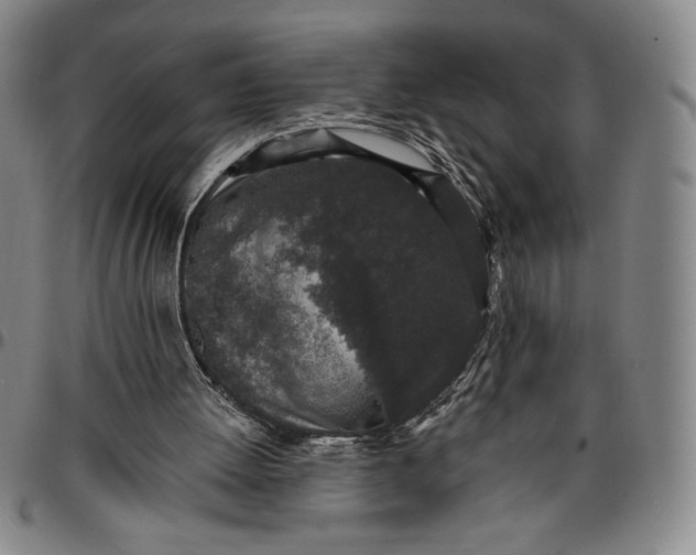 X0000096630052200802191206