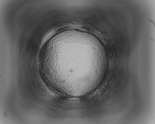 X0000096630053200802191206