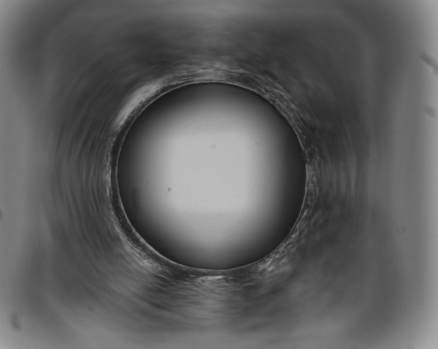 X0000096630054200802191206
