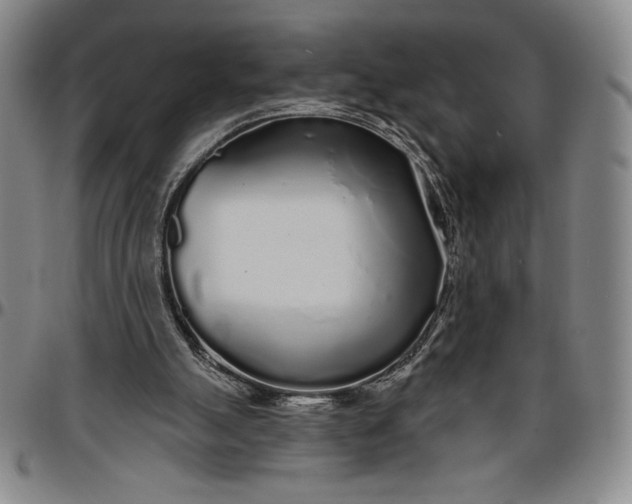 X0000096630055200802191206