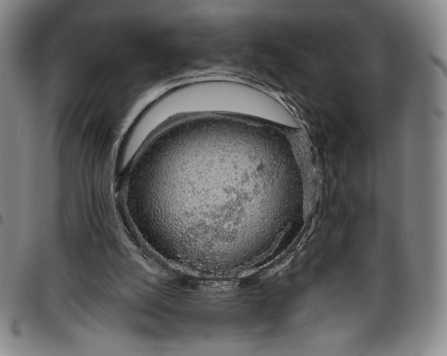 X0000096630056200802191206