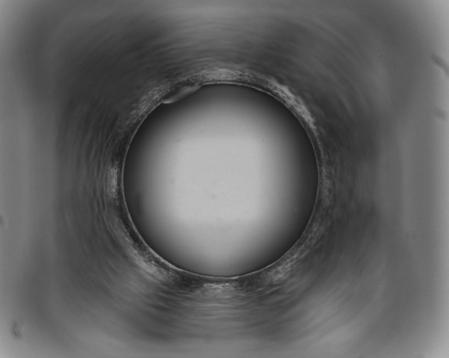 X0000096630057200802191206