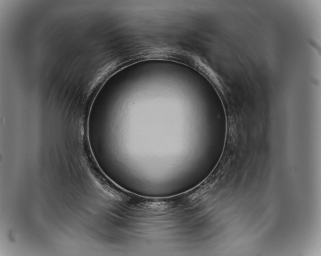 X0000096630059200802191206