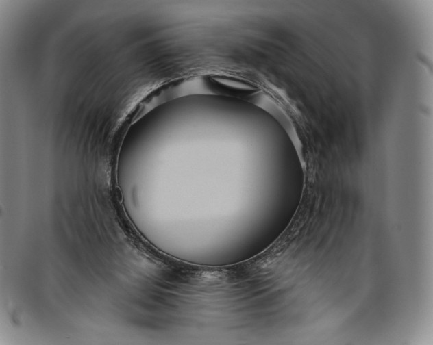 X0000096630060200802191206