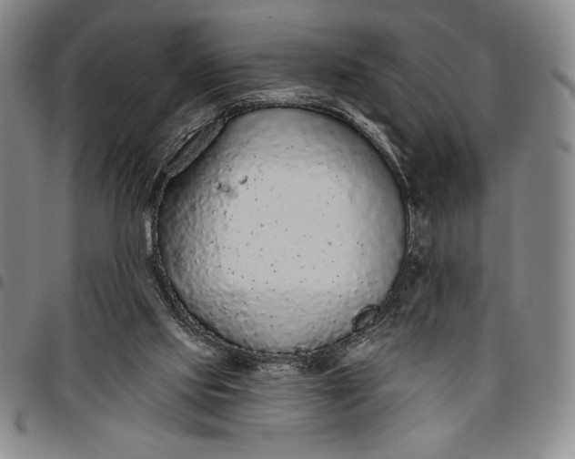 X0000096630061200802191206