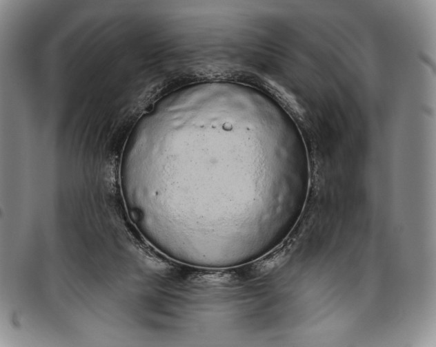 X0000096630065200802191206