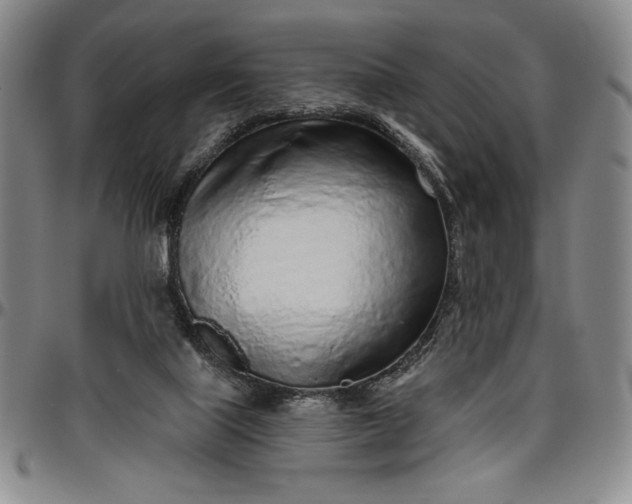 X0000096630067200802191206