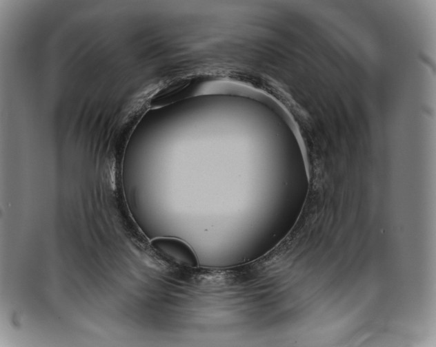 X0000096630068200802191206