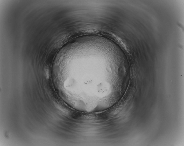 X0000096630069200802191206
