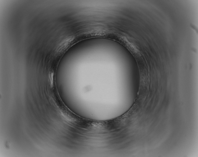 X0000096630070200802191206