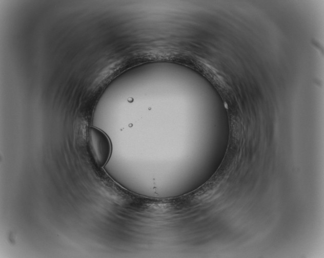 X0000096630071200802191206