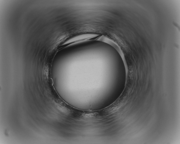 X0000096630072200802191206