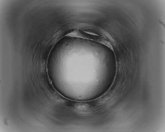 X0000096630073200802191206