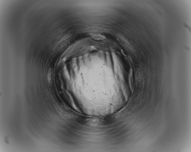 X0000096630074200802191206