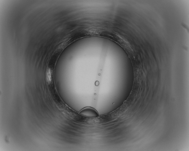 X0000096630075200802191206