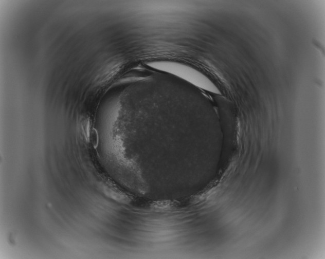 X0000096630076200802191206