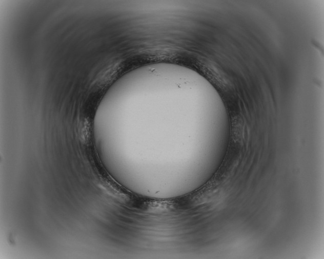 X0000096630077200802191206
