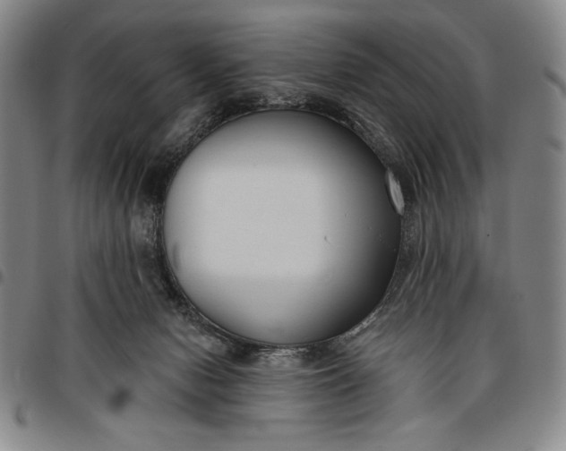 X0000096630078200802191206