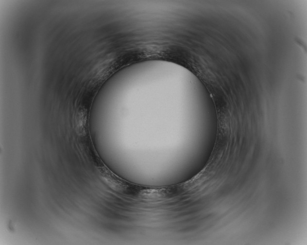X0000096630082200802191207