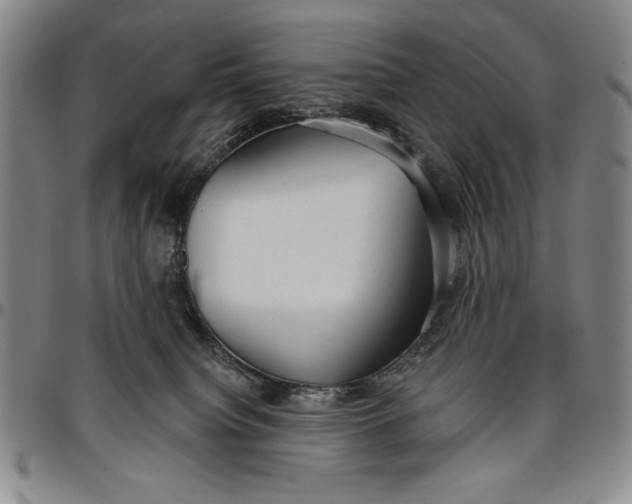 X0000096630084200802191207