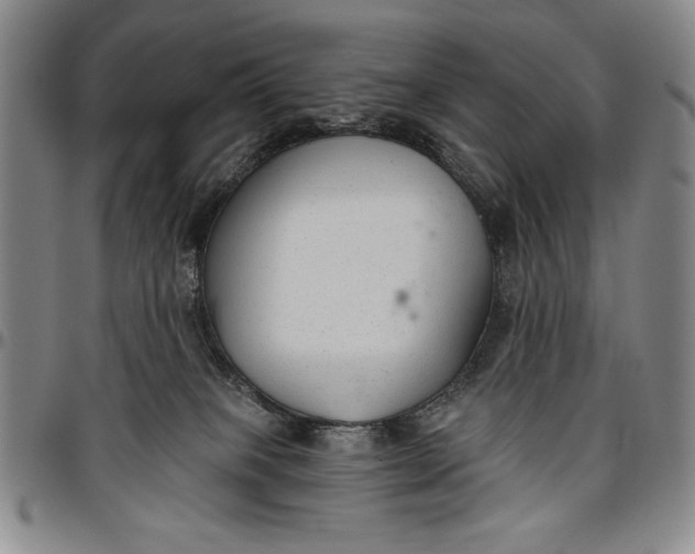 X0000096630085200802191207