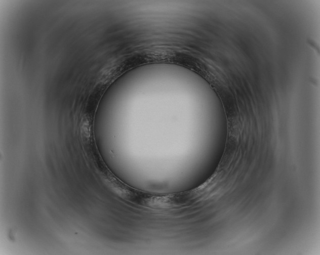 X0000096630086200802191207