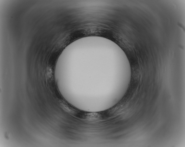 X0000096630087200802191207