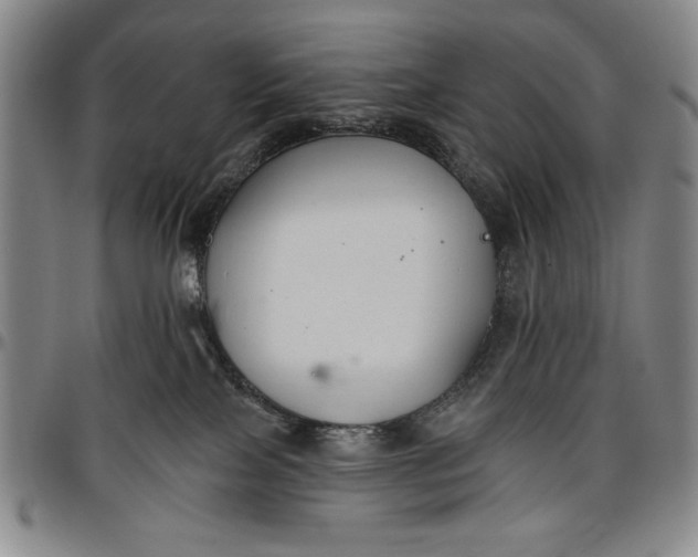 X0000096630089200802191207