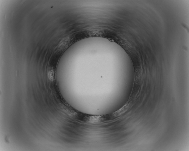 X0000096630090200802191207