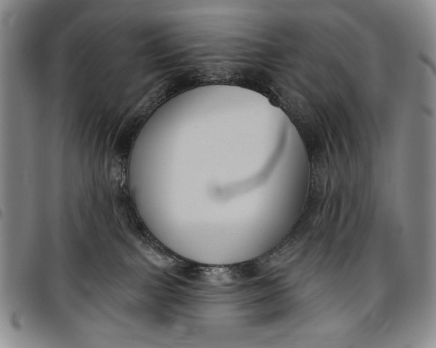 X0000096630091200802191207